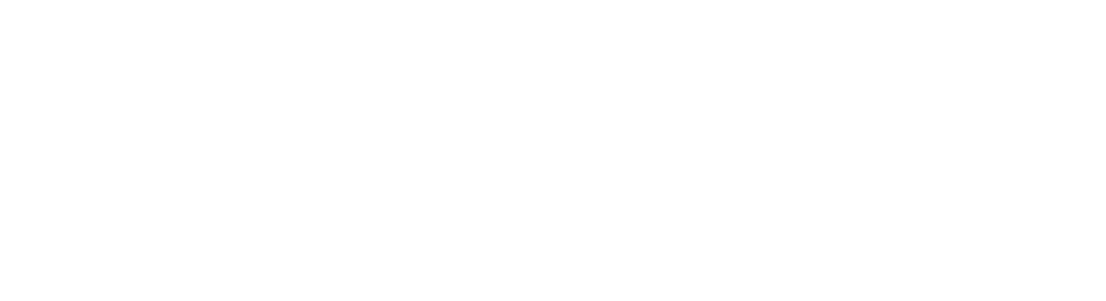 EMS Shipmanagement Logo white